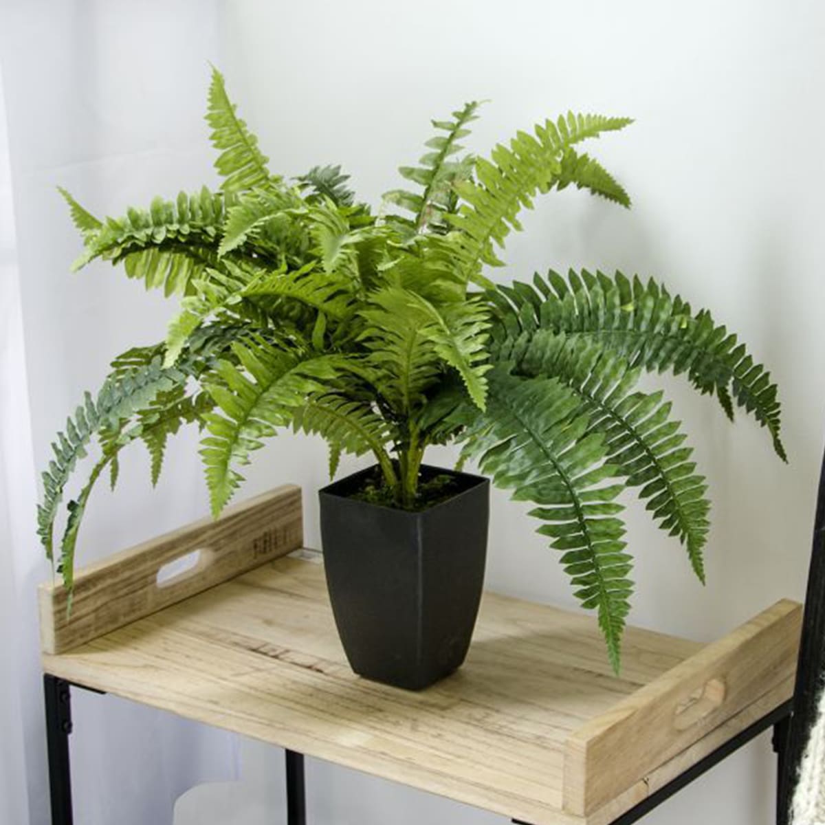 Ostrich Fern Plastic Plant • Zago Store